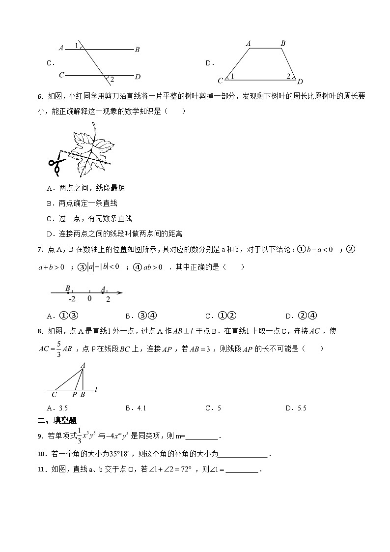 吉林省长春2023年七年级上学期期末数学试题附答案02