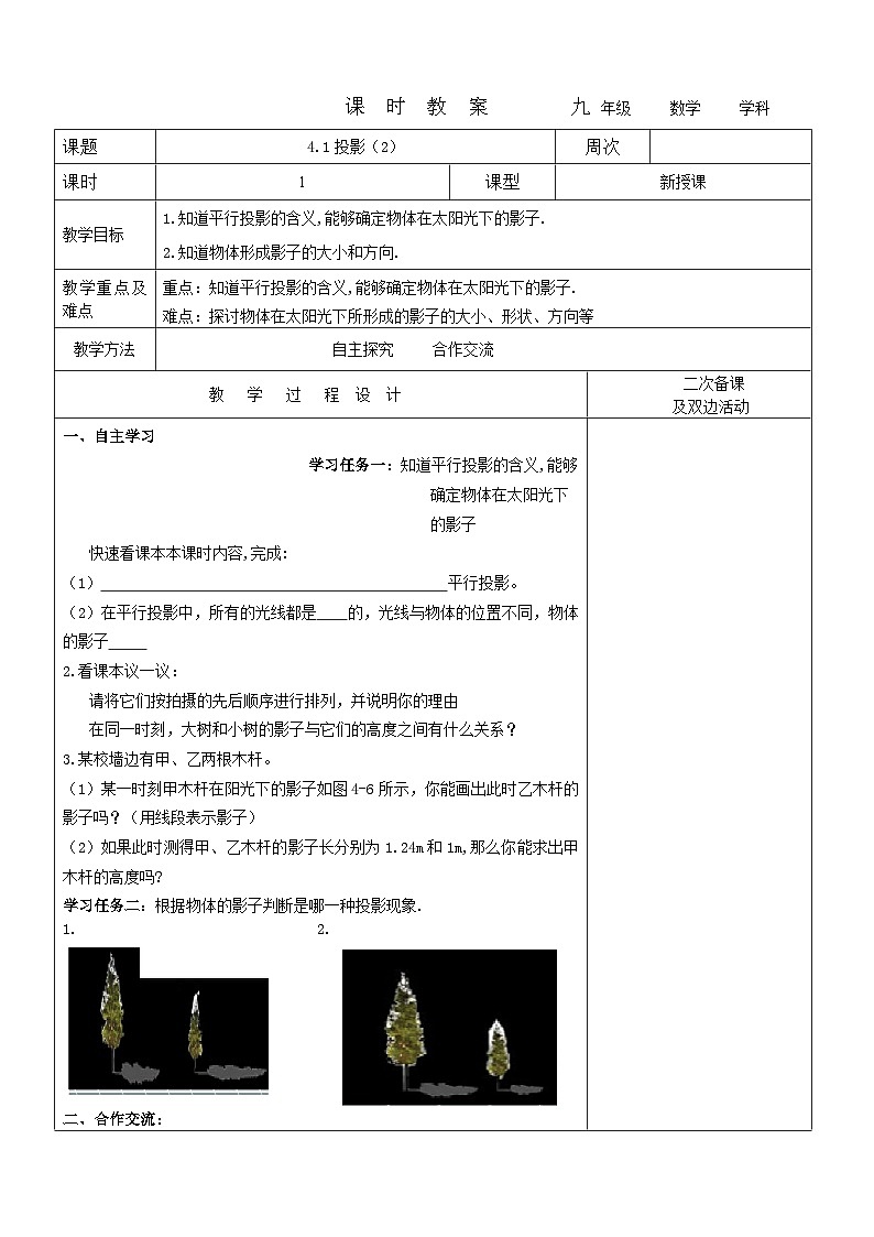 2023-2024学年九年级数学上册教案---4.1投影201