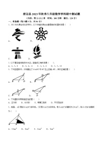 海南省省直辖县级行政单位澄迈县2023-2024学年八年级上学期期中数学试题