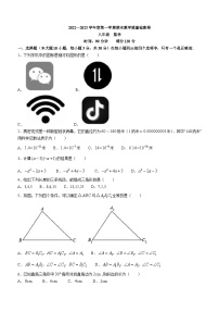 广东省肇庆地区2022-2023学年八年级上学期期末数学试题