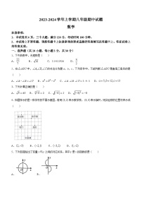 河南省郑州市中原区2023-2024学年八年级上学期期中数学试题