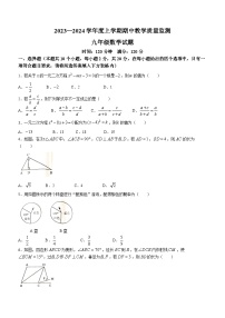 辽宁省丹东市东港市2023-2024学年九年级上学期期中数学试题