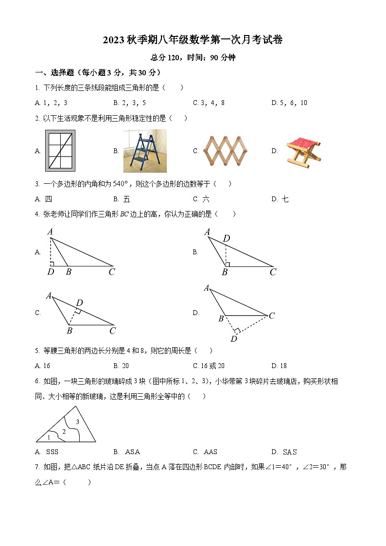 广东省雷州市2023-2024学年八年级上学期第一次月考数学试题01