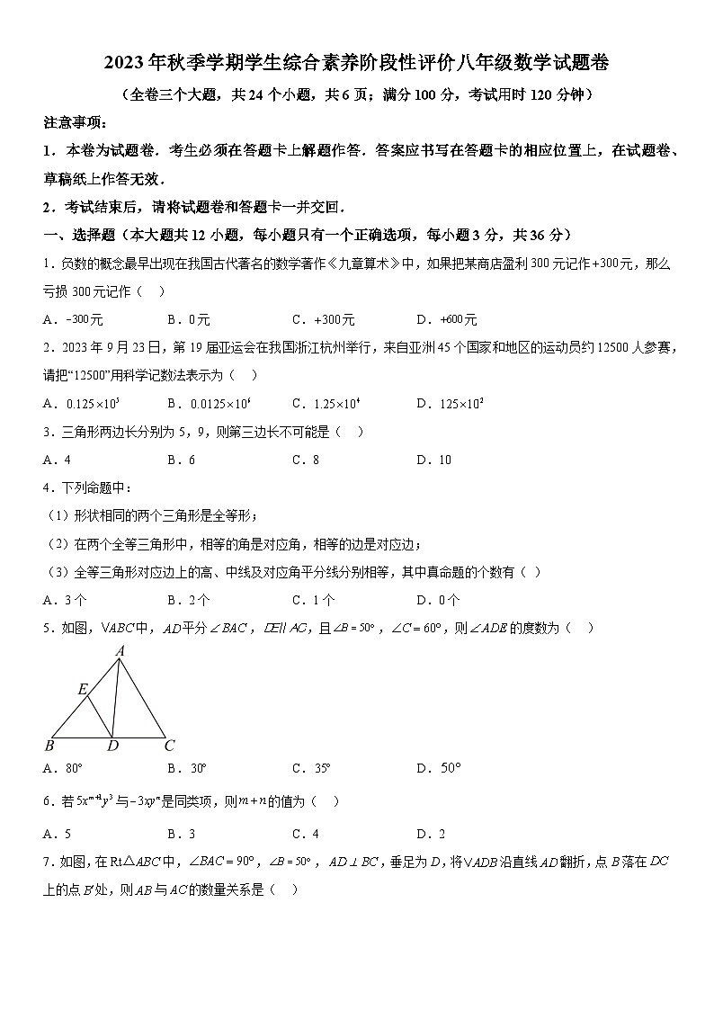 云南省昭通市昭阳区2023-2024学年八年级上册期中数学试题（含解析）第1页