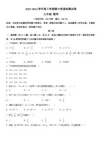 广西壮族自治区桂林市龙胜各族自治县2023-2024学年九年级上册期中数学试题（含解析）