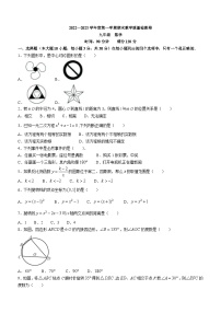 广东省肇庆地区2022-2023学年九年级上学期期末数学试题