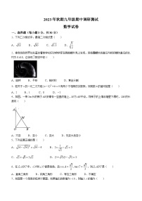 河南省南阳市镇平县2023-2024学年九年级上学期期中数学试题