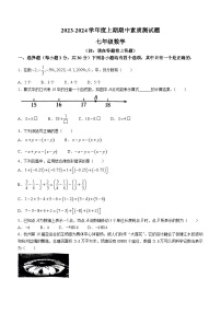 河南省驻马店市确山县2023-2024学年七年级上学期期中数学试题