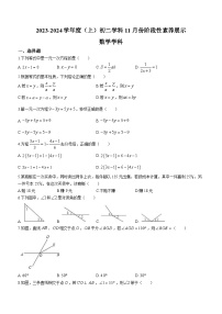 黑龙江省哈尔滨市南岗区第四十七中学2023-2024学年八年级上学期月考数学试题(无答案)