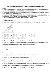 2023-2024学年安徽省数学九年级第一学期期末质量检测试题含解析