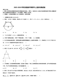 2023-2024学年安徽中学数学九上期末经典试题含解析