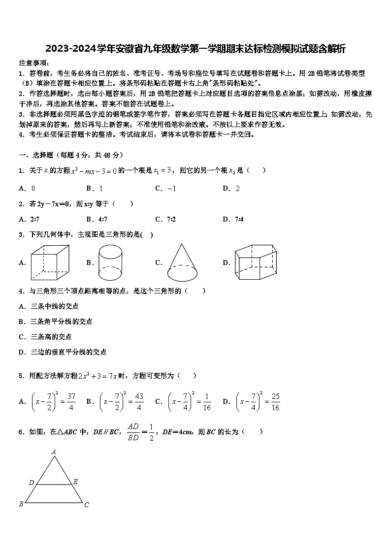 2023-2024学年安徽省九年级数学第一学期期末达标检测模拟试题含解析01