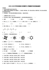 2023-2024学年安徽省九年级数学上学期期末考试试题含解析