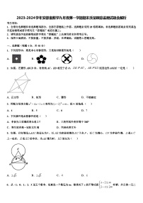 2023-2024学年安徽省数学九年级第一学期期末质量跟踪监视试题含解析