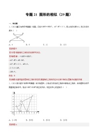 专题21 图形的相似（共29题）（解析版）