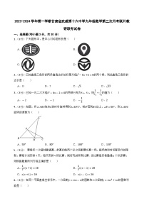 甘肃省武威市凉州区武威十六中学联考2023-2024学年九年级上学期11月月考数学试题