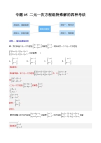 专题05 二元一次方程组特殊解的四种考法（学生版）-2023年初中数学7年级下册同步压轴题