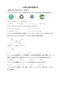 八年级上数学寒假作业 (11)