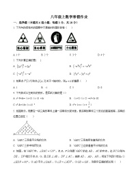 八年级上数学寒假作业 (17)