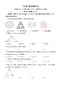 八年级上数学寒假作业 (18)