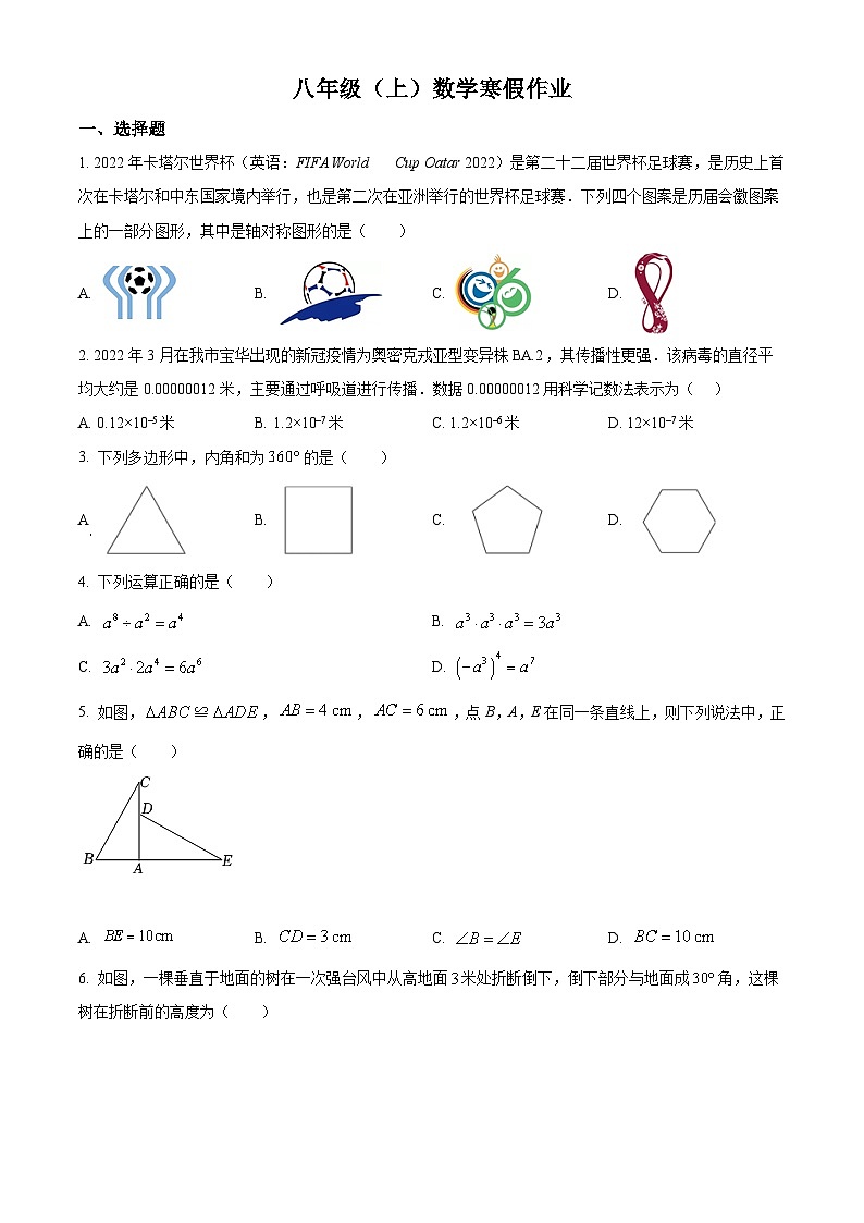 八年级上数学寒假作业 (19)01