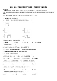 2023-2024学年北京市数学九年级第一学期期末统考模拟试题