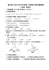 广东省江门市楼山初级中学2023—2024学年八年级上学期期中考试数学试题