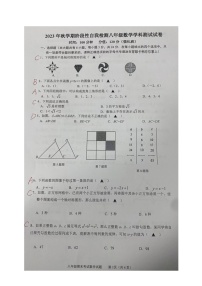 江苏省盐城市射阳县县城四校2023-2024学年八年级上学期期中阶段性自我检测数学试卷(B）