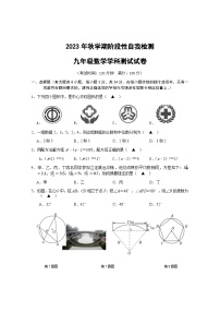 江苏省盐城市射阳县县城四校2023-2024学年九年级上学期期中阶段性自我检测数学试卷（A）