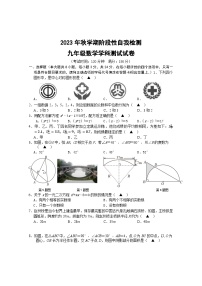 江苏省盐城市射阳县县城四校2023-2024学年九年级上学期期中阶段性自我检测数学试卷（B）