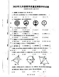 海南省临高县2023-2024学年九年级上学期12月检测数学试题