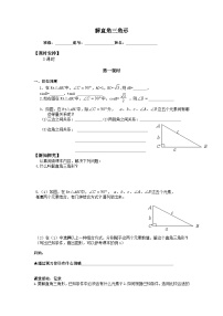 人教版九年级下册28.2 解直角三角形及其应用导学案