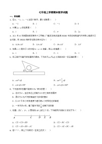 浙江省台州市2023年七年级上学期期末数学试题附答案