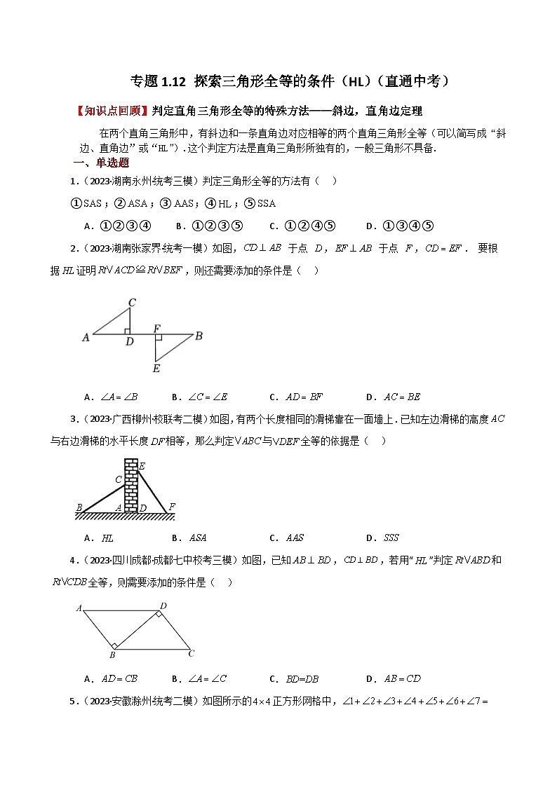 专题1.12 探索三角形全等的条件（HL）（直通中考）-2023-2024学年八年级数学上册专题讲与练（苏科版）01