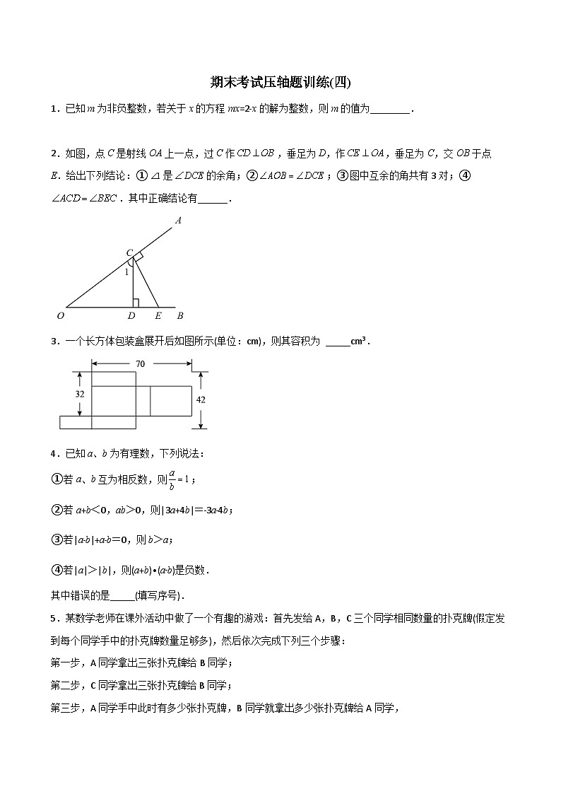 2023年初中数学7年级上册同步压轴题期末考试压轴题训练（四）（学生版+教师版解析）01