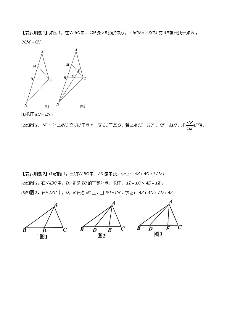 2023年初中数学8年级上册同步压轴题 专题02 全等三角形中的六种模型梳理（学生版）  第2页