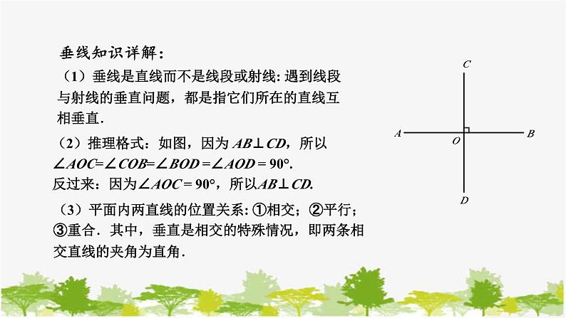 5.1 相交线2 垂线 华东师大版数学七年级上册课件第5页