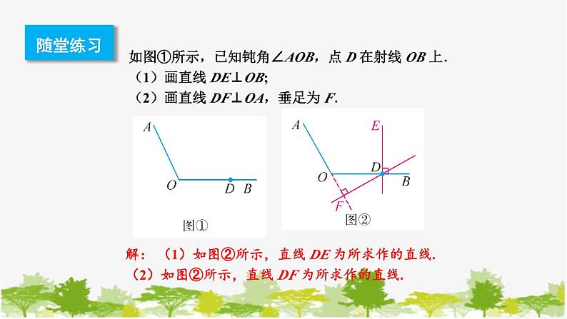 5.1 相交线2 垂线 华东师大版数学七年级上册课件第8页