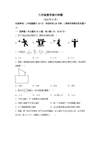 山东省菏泽市定陶区2023-2024学年八年级上学期期中考试数学试题（含解析）