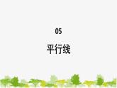 5.2 平行线1 平行线 华东师大版七年级数学上册课件