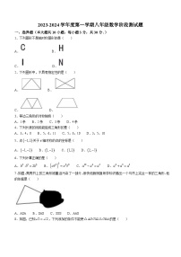 广东省汕尾市陆河县多校2023-2024学年八年级上学月考数学试题