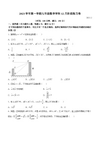 上海市普陀区2023-2024学年九年级上学期月考数学试题