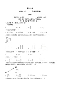 黑龙江省哈尔滨市萧红中学2023-2024学年九年级上学期月考数学试题(无答案)