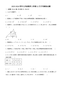 江苏省苏州市2023-2024学年九年级数学上学期12月月考模拟试题