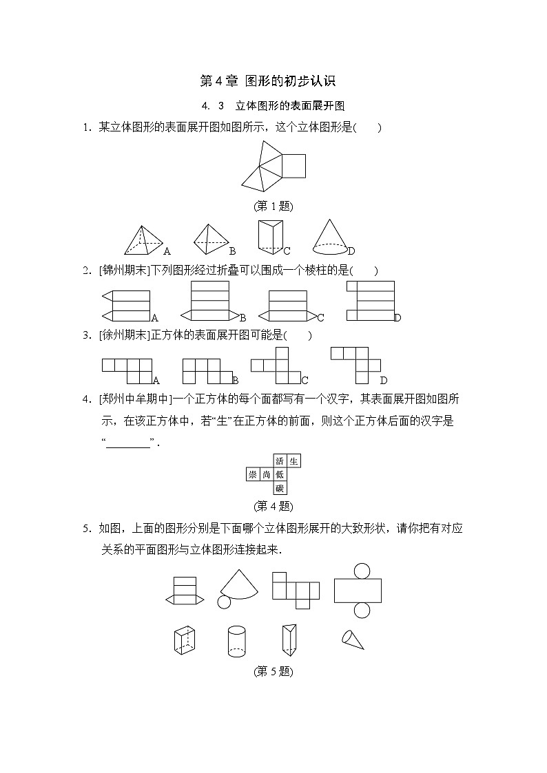4.3 立体图形的表面展开图 华东师大版数学七年级上册随堂练习(含答案)01