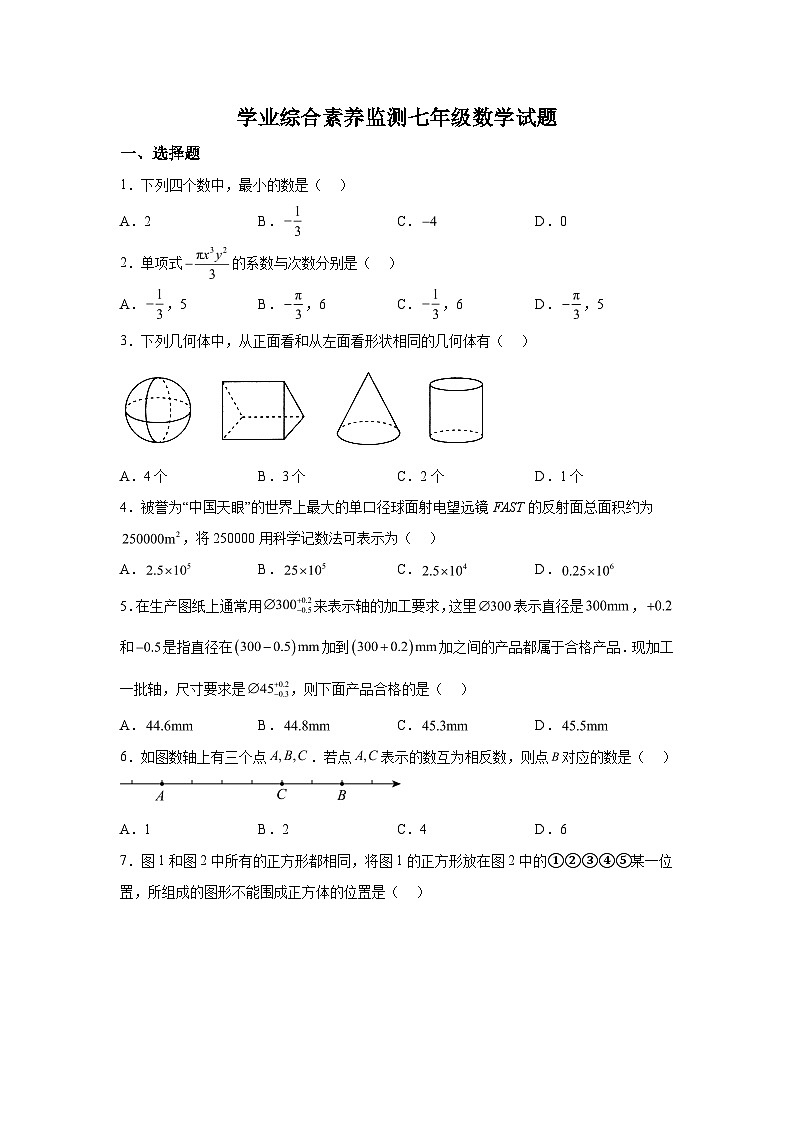 山东省枣庄市薛城区2023-2024学年七年级上学期期中考试数学试题（含解析）第1页