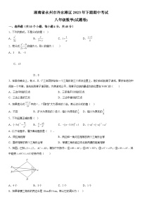 湖南省永州市冷水滩区2023-2024学年八年级上册期中数学试题（含解析）