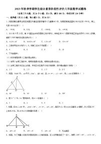 云南省昭通市昭阳区2023-2024学年八年级上册期中数学试题（含解析）