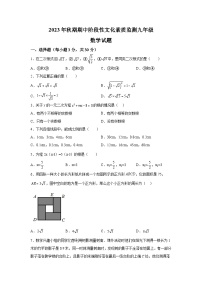 河南省南阳市唐河县2023-2024学年九年级上学期期中数学试题（含解析）