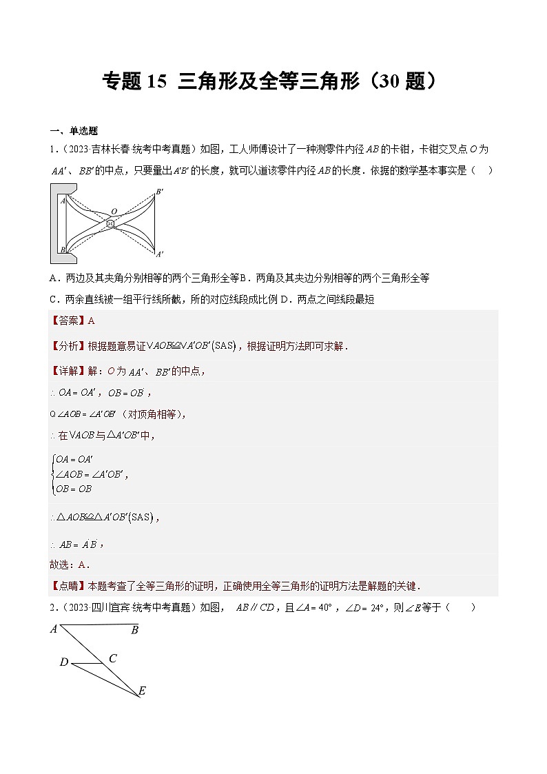 专题15 三角形及全等三角形（共30题）-备战2024年数学中考之真题分项汇编（全国通用）01